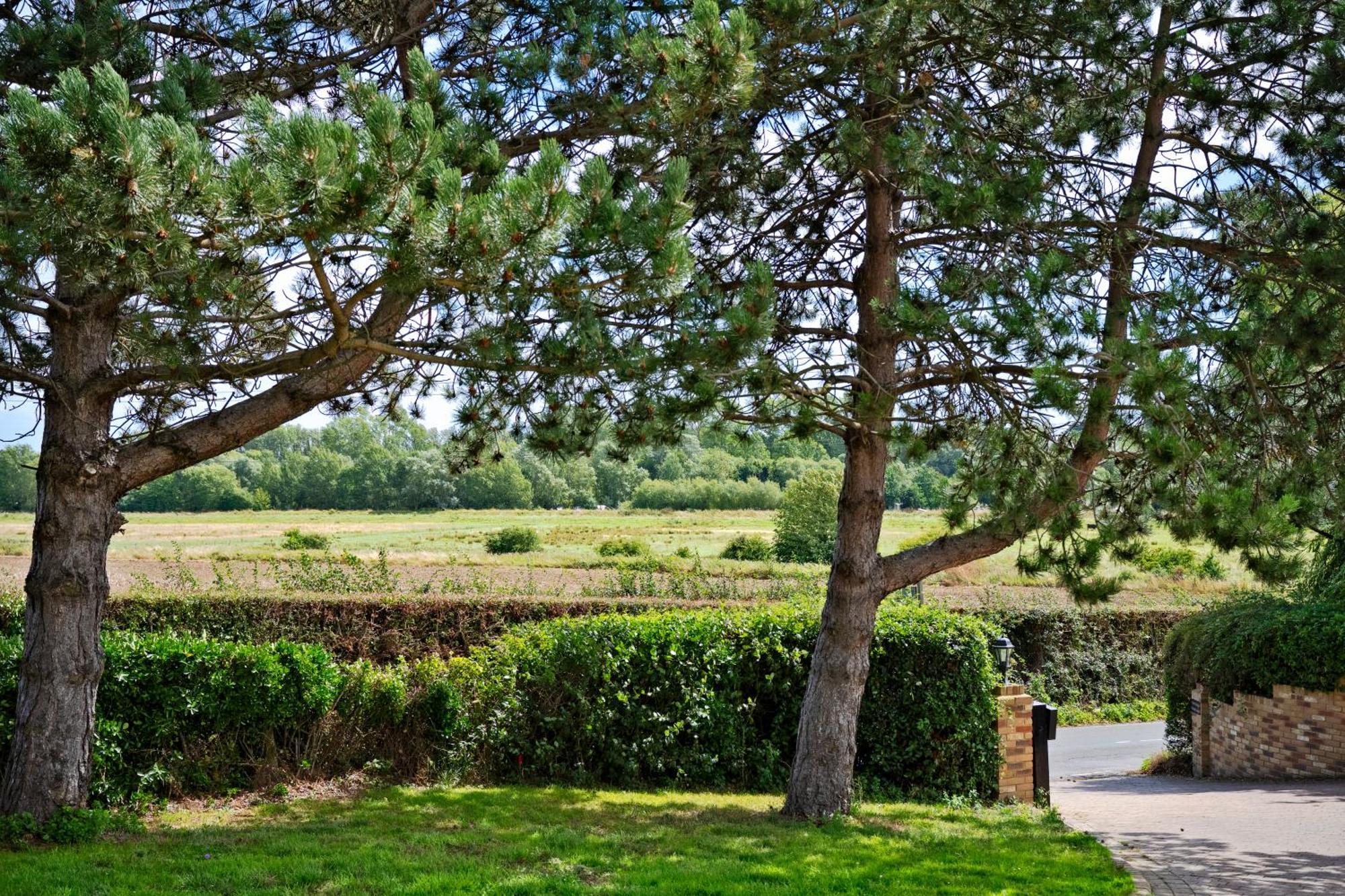 Owlet Lodge Chislet 外观 照片